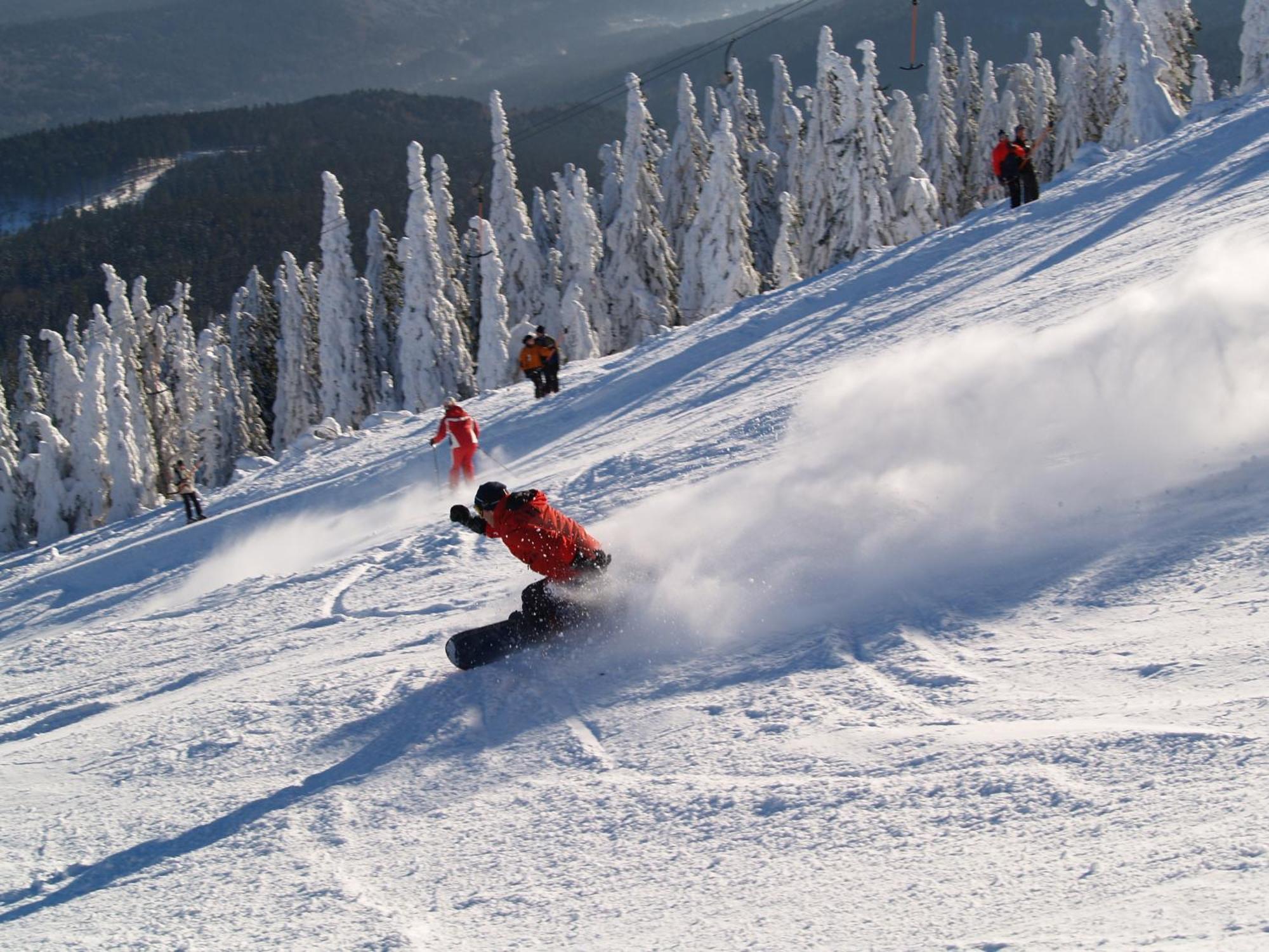 לאם Sonnenhof Resort Bayerischer Wald מראה חיצוני תמונה